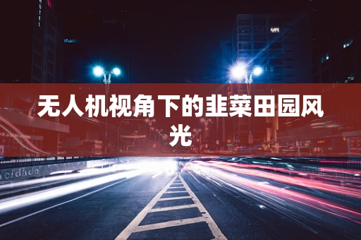 无人机视角下的韭菜田园风光