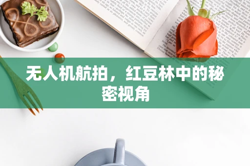 无人机航拍，红豆林中的秘密视角