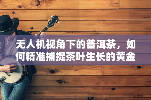 无人机视角下的普洱茶，如何精准捕捉茶叶生长的黄金时刻？