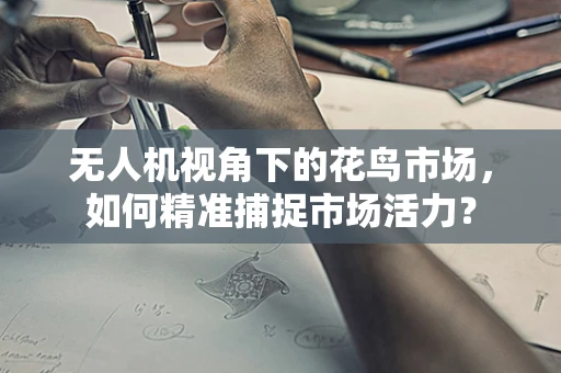 无人机视角下的花鸟市场，如何精准捕捉市场活力？