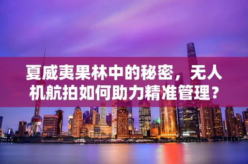 夏威夷果林中的秘密，无人机航拍如何助力精准管理？