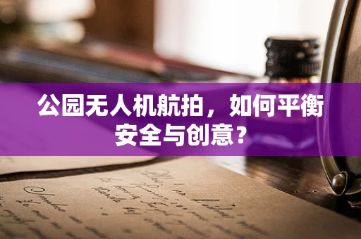 公园无人机航拍，如何平衡安全与创意？