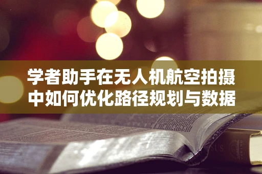 学者助手在无人机航空拍摄中如何优化路径规划与数据分析？