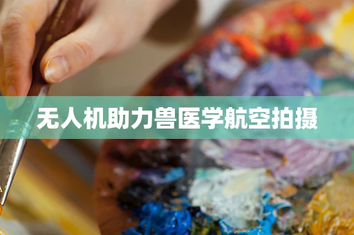 无人机助力兽医学航空拍摄