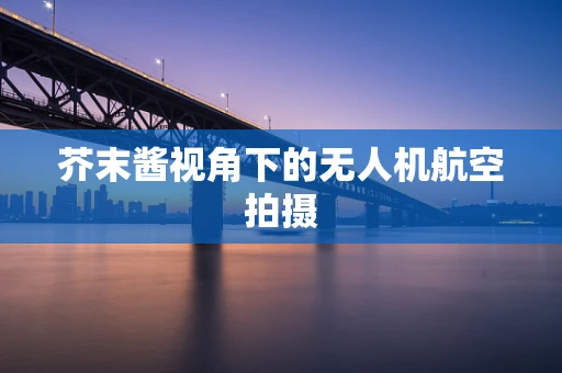 芥末酱视角下的无人机航空拍摄