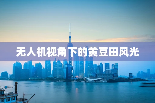 无人机视角下的黄豆田风光