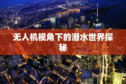 无人机视角下的潜水世界探秘