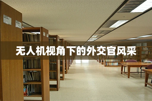 无人机视角下的外交官风采