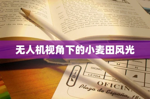 无人机视角下的小麦田风光