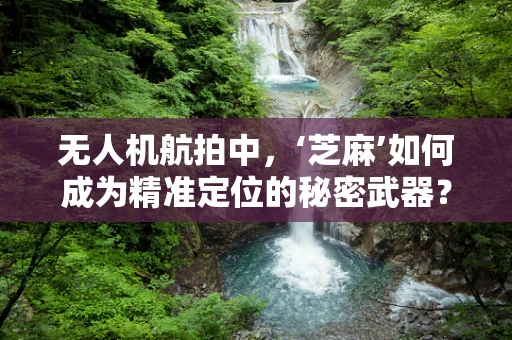 无人机航拍中，‘芝麻’如何成为精准定位的秘密武器？