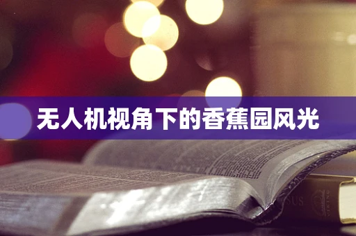 无人机视角下的香蕉园风光