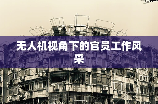 无人机视角下的官员工作风采
