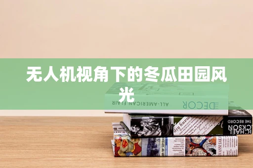 无人机视角下的冬瓜田园风光