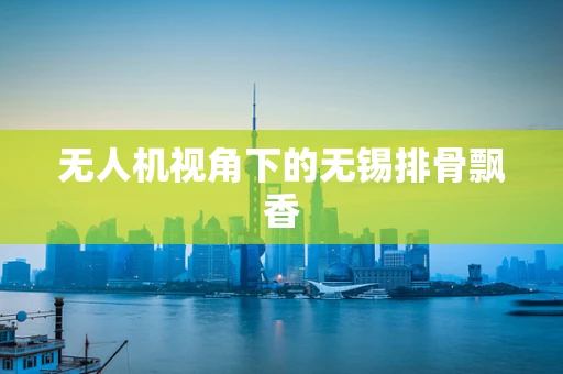 无人机视角下的无锡排骨飘香