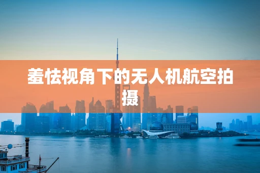 羞怯视角下的无人机航空拍摄