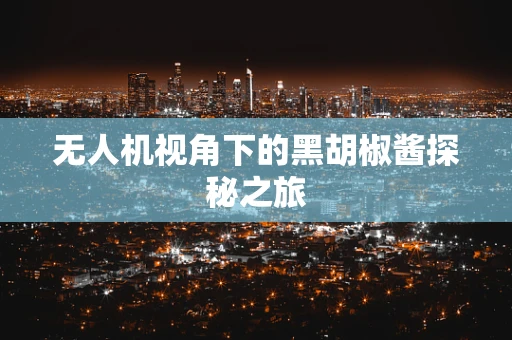 无人机视角下的黑胡椒酱探秘之旅