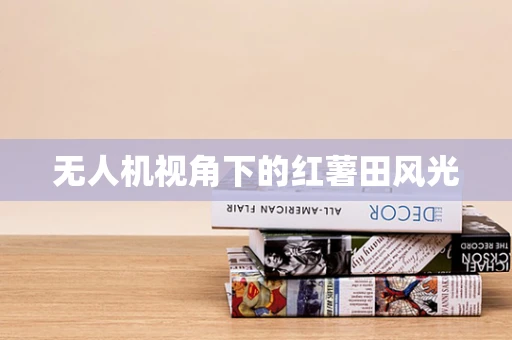 无人机视角下的红薯田风光