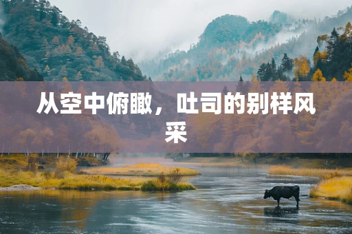 从空中俯瞰，吐司的别样风采