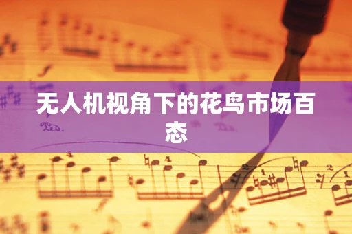 无人机视角下的花鸟市场百态