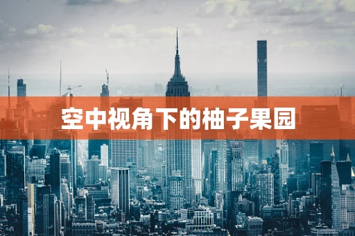 空中视角下的柚子果园