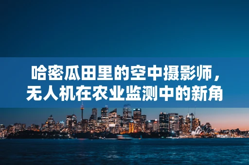 哈密瓜田里的空中摄影师，无人机在农业监测中的新角色？