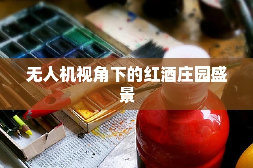 无人机视角下的红酒庄园盛景