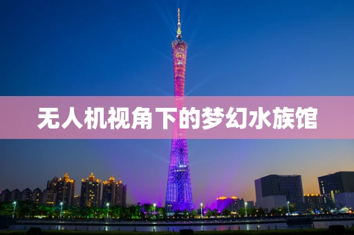 无人机视角下的梦幻水族馆