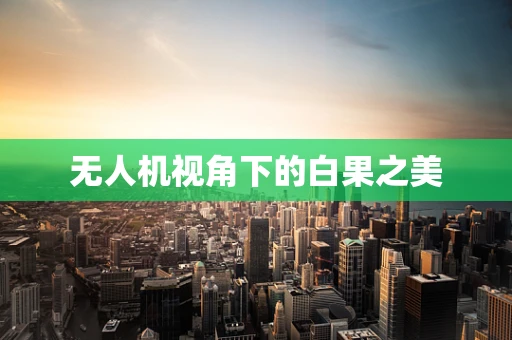 无人机视角下的白果之美