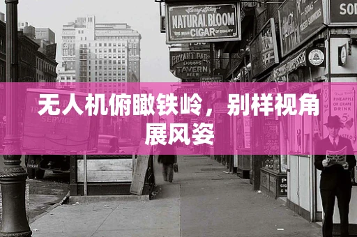无人机俯瞰铁岭，别样视角展风姿