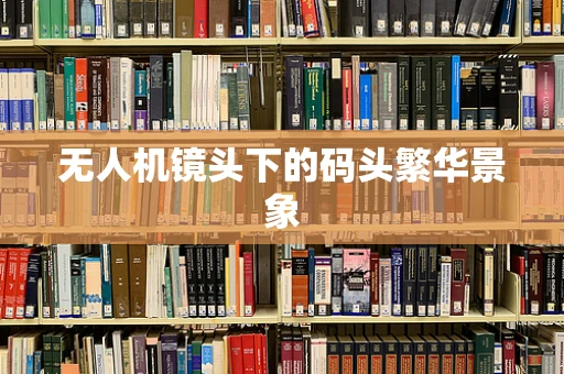 无人机镜头下的码头繁华景象