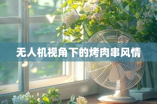 无人机视角下的烤肉串风情