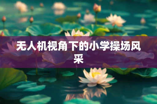 无人机视角下的小学操场风采