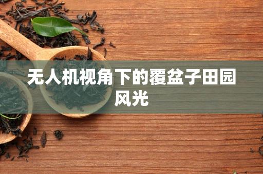 无人机视角下的覆盆子田园风光