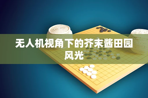 无人机视角下的芥末酱田园风光