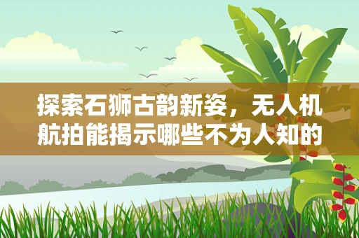 探索石狮古韵新姿，无人机航拍能揭示哪些不为人知的细节？