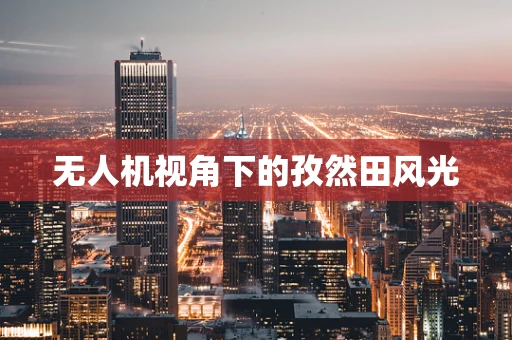 无人机视角下的孜然田风光