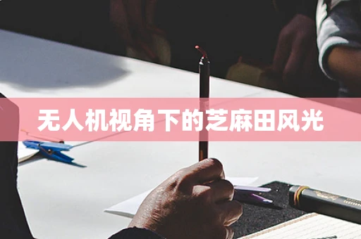 无人机视角下的芝麻田风光