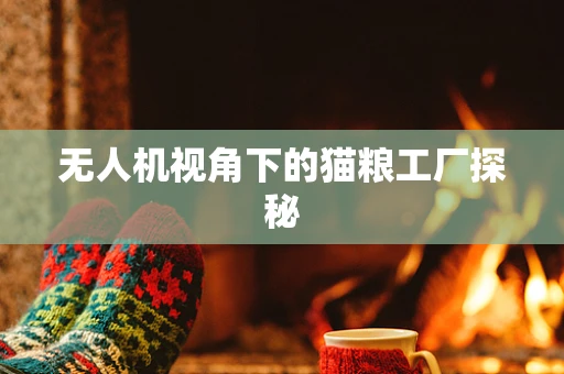 无人机视角下的猫粮工厂探秘