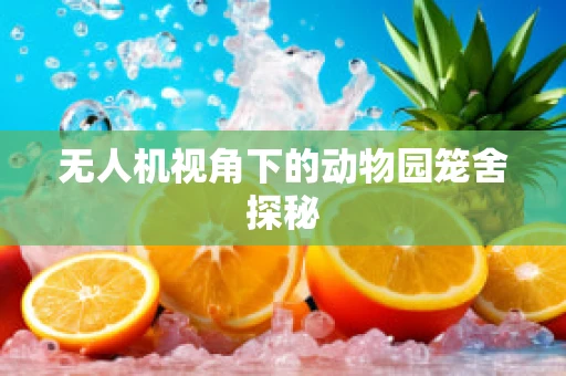 无人机视角下的动物园笼舍探秘