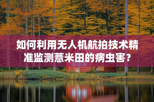 如何利用无人机航拍技术精准监测薏米田的病虫害？