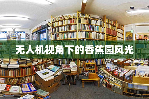无人机视角下的香蕉园风光