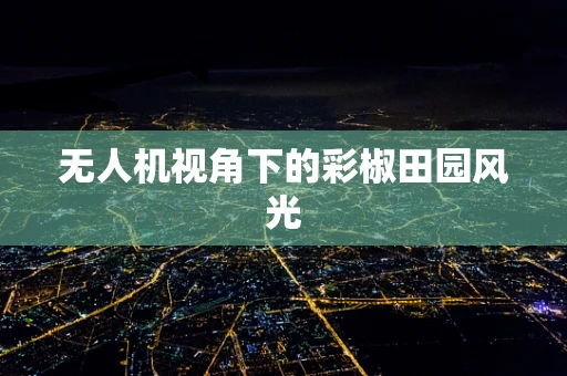 无人机视角下的彩椒田园风光