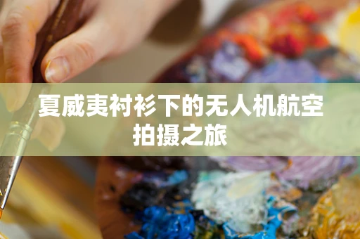 夏威夷衬衫下的无人机航空拍摄之旅