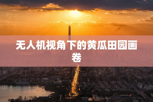 无人机视角下的黄瓜田园画卷