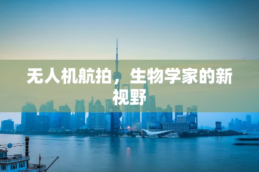 无人机航拍，生物学家的新视野
