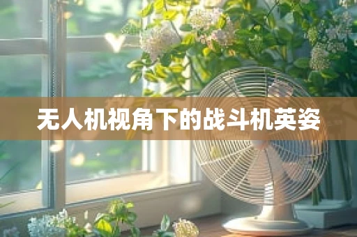 无人机视角下的战斗机英姿