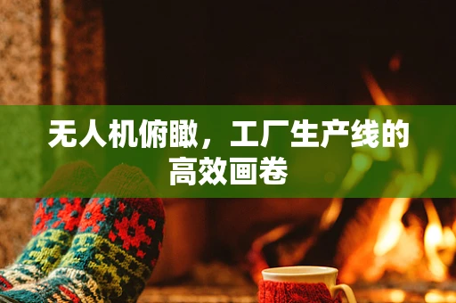无人机俯瞰，工厂生产线的高效画卷