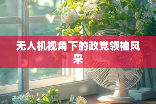 无人机视角下的政党领袖风采