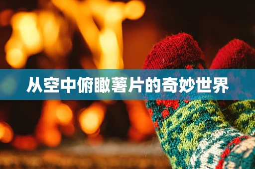 从空中俯瞰薯片的奇妙世界