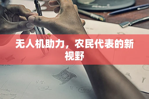 无人机助力，农民代表的新视野